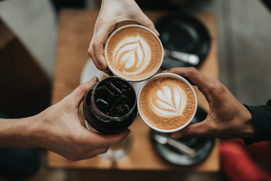 Finding Support in Non-Toxic Living Communities
