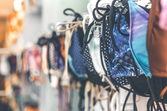 Navigating Non-Toxic Labels What They Mean