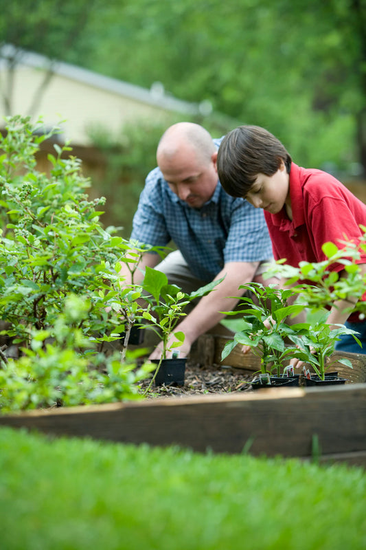 The Wonderful World of Organic Gardening Transform Your Home and Life